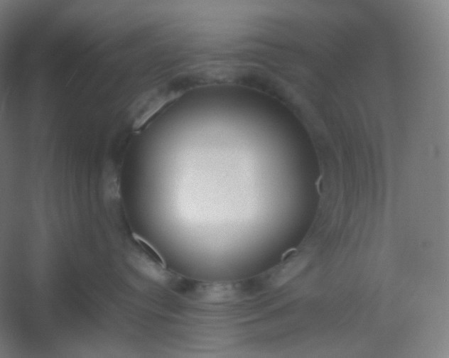 X0000054390384200508121639