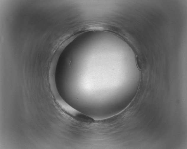 X0000054390385200508121638