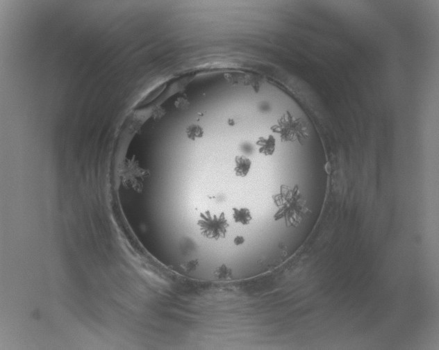 X0000054390386200508121638