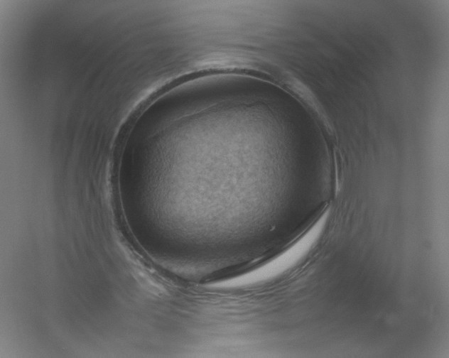 X0000054390387200508121638