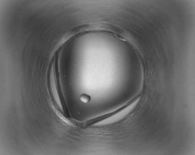 X0000054390389200508121638