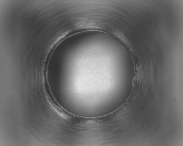 X0000054390390200508121638