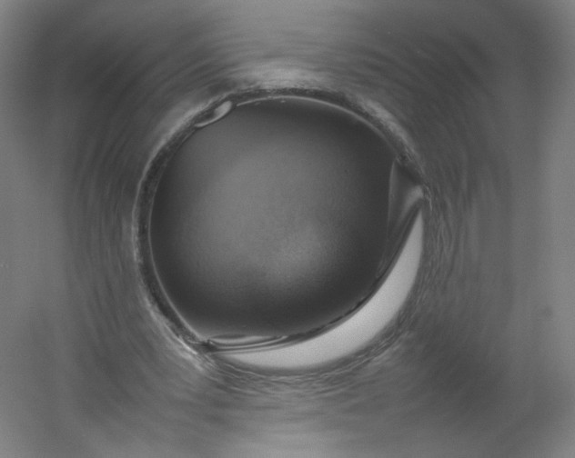 X0000054390391200508121638