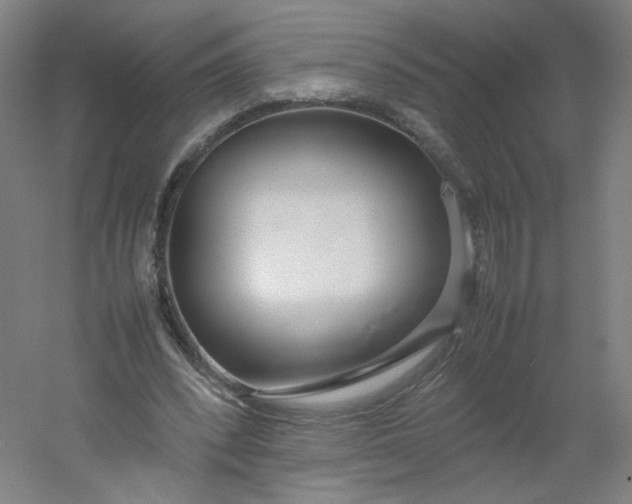 X0000054390392200508121638