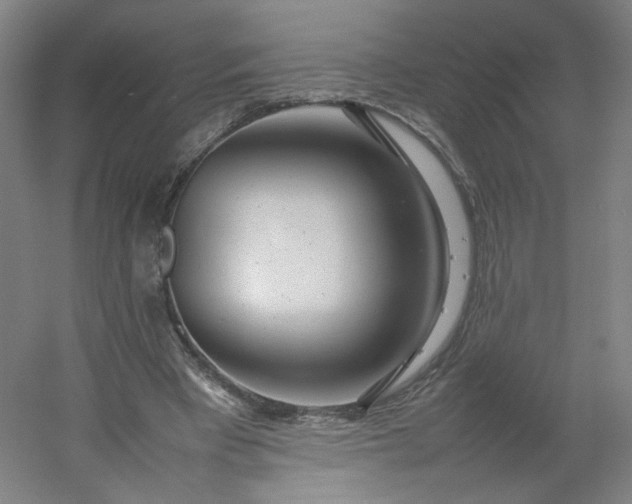 X0000054390393200508121638