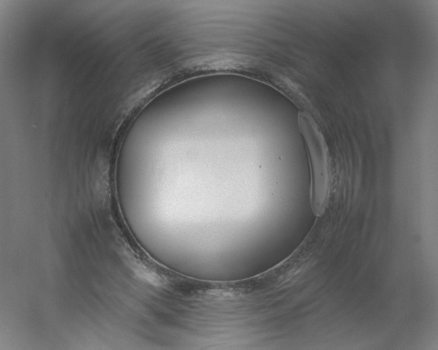 X0000054390394200508121638