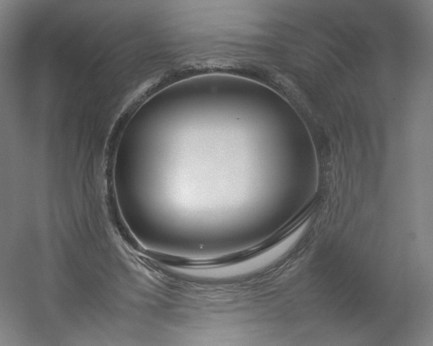 X0000054390395200508121638