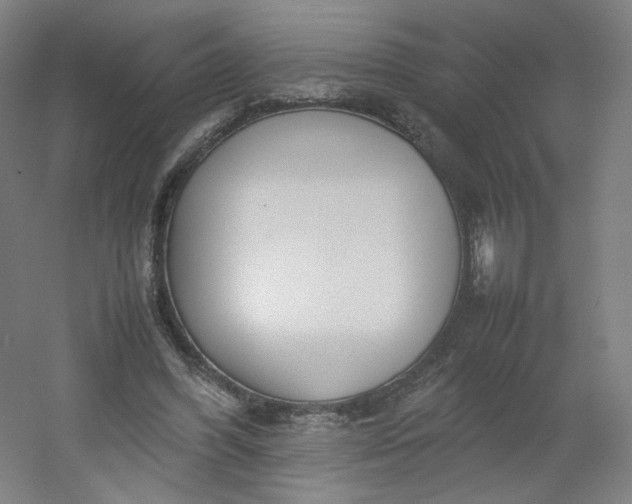 X0000054390396200508121638