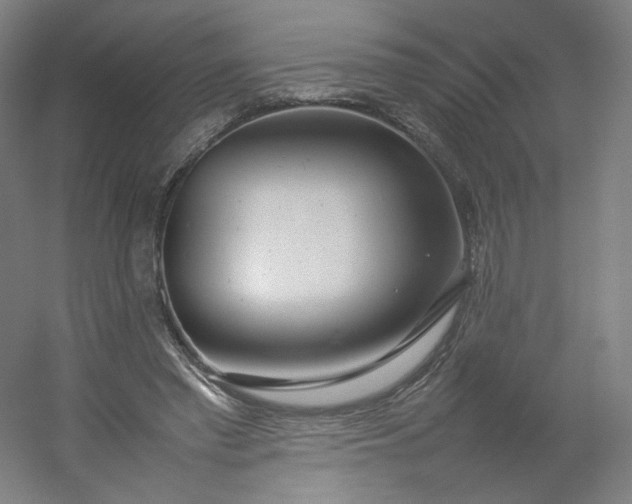 X0000054390397200508121638