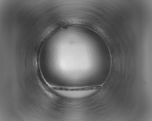 X0000054390398200508121638