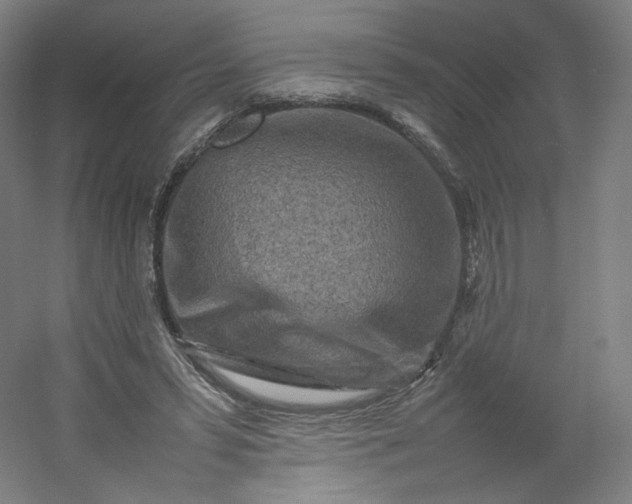 X0000054390399200508121638