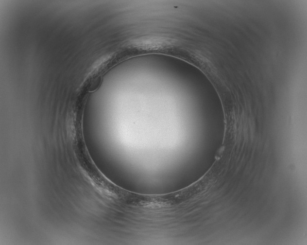 X0000054390400200508121638