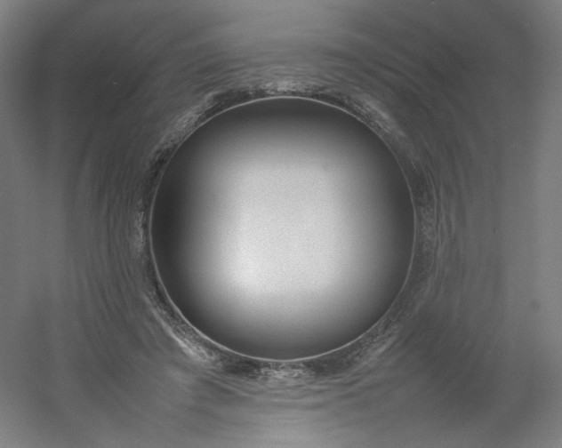 X0000054390401200508121638