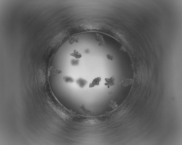 X0000054390402200508121638