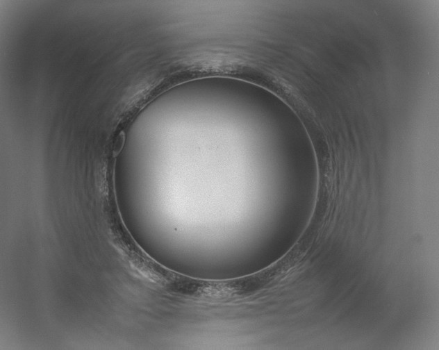 X0000054390403200508121638