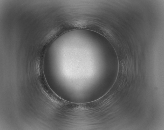 X0000054390404200508121638