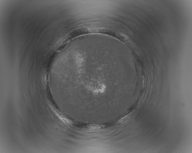 X0000054390405200508121638