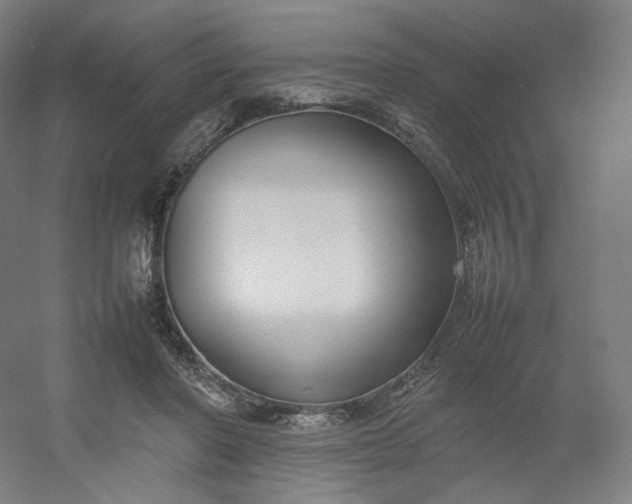 X0000054390406200508121638