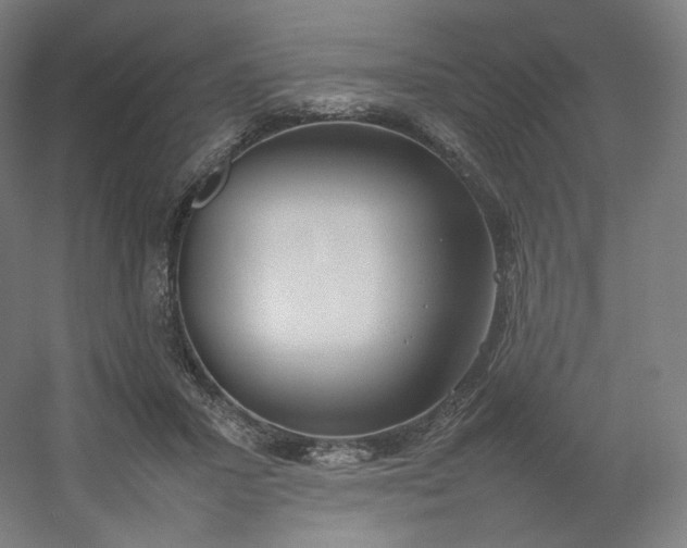 X0000054390407200508121638