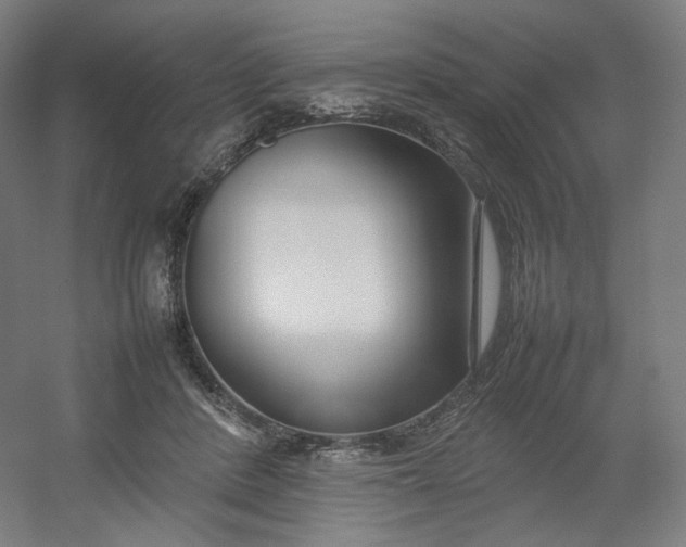 X0000054390408200508121638