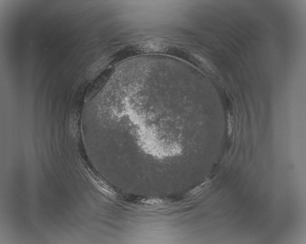 X0000054390409200508121638