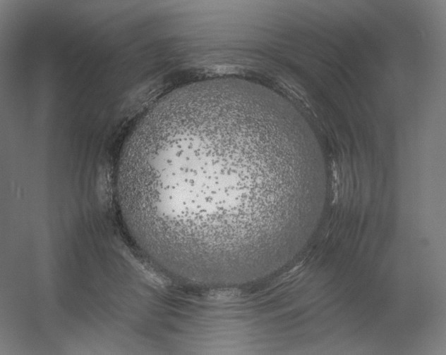 X0000054390410200508121638