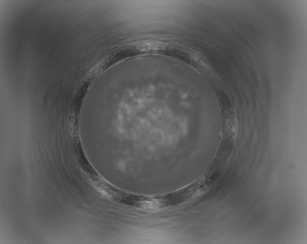 X0000054390411200508121638