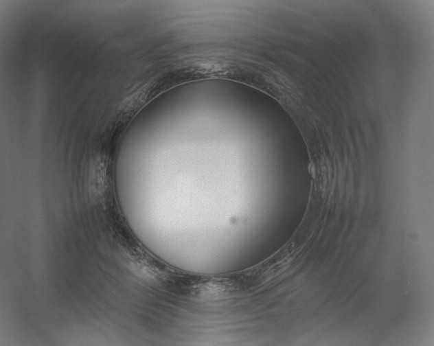 X0000054390412200508121638