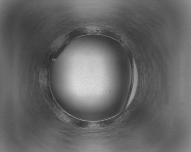 X0000054390413200508121638