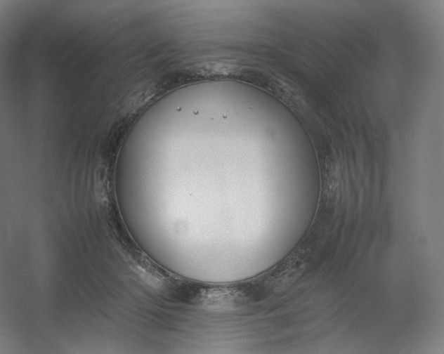 X0000054390414200508121638