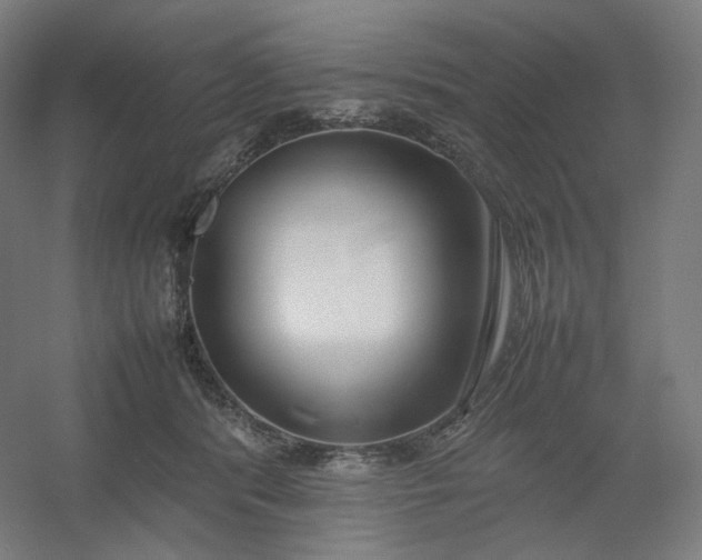 X0000054390416200508121638