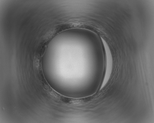 X0000054390417200508121638