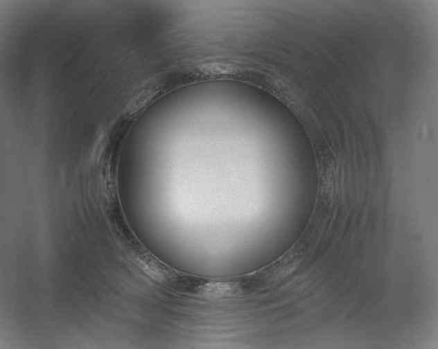 X0000054390418200508121638