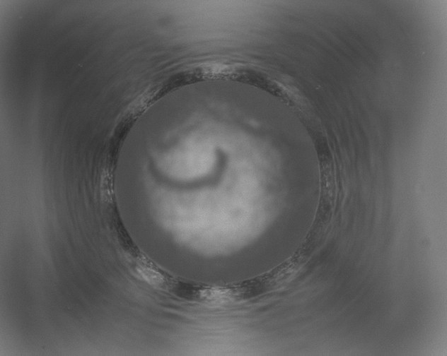 X0000054390419200508121638