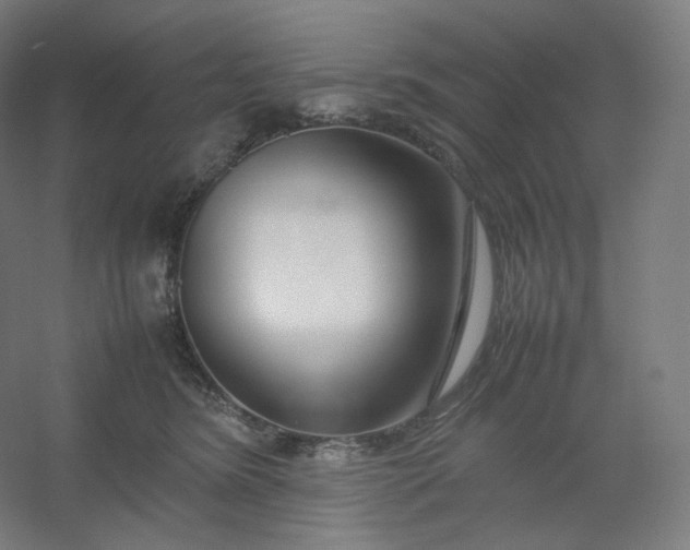 X0000054390420200508121638