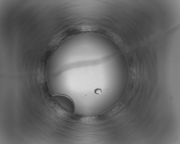 X0000054390422200508121638