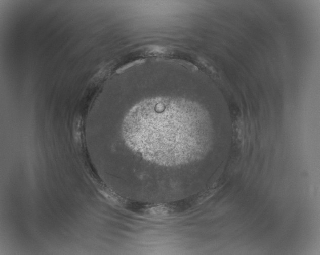 X0000054390423200508121638