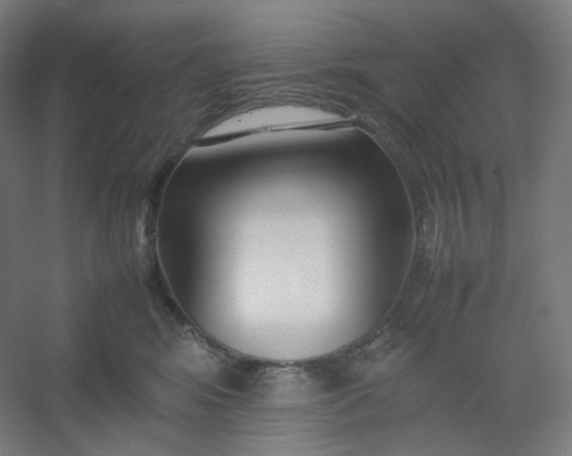 X0000054390424200508121638