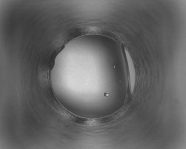 X0000054390425200508121638