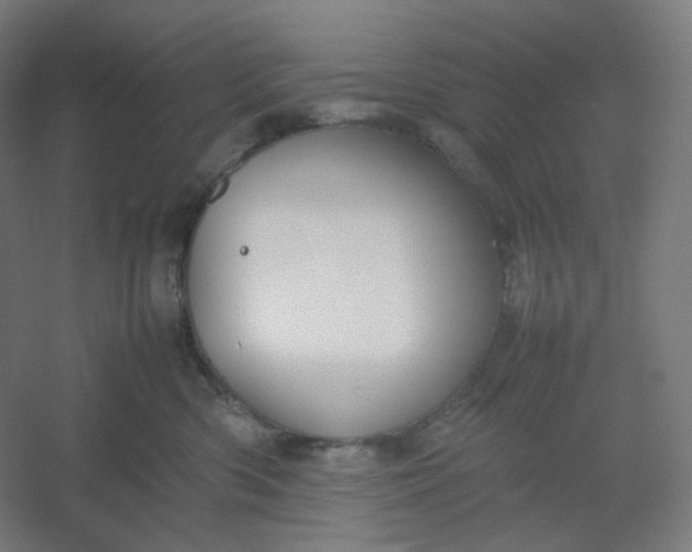 X0000054390426200508121638