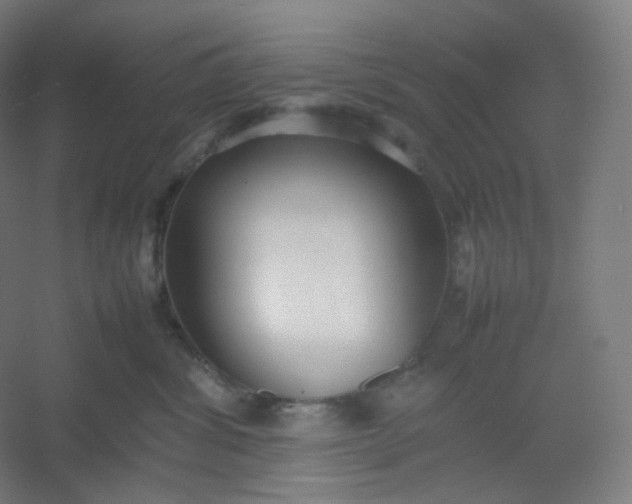 X0000054390428200508121638