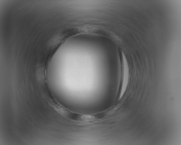 X0000054390429200508121638