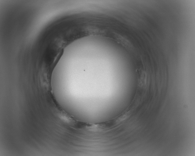 X0000054390430200508121637