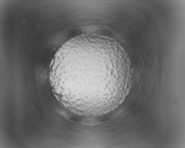 X0000054390431200508121637