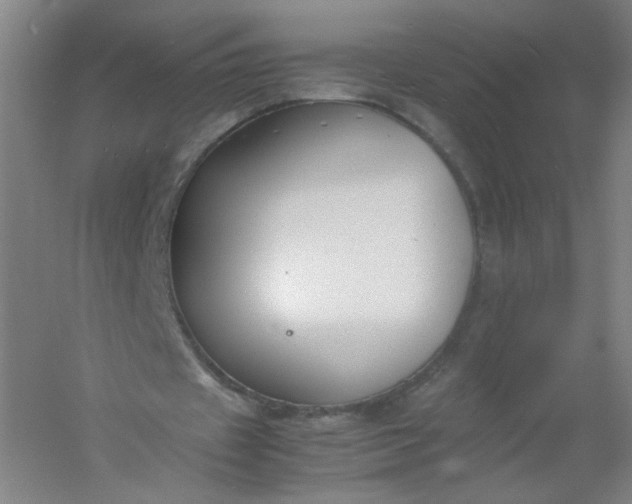 X0000054390433200508121637