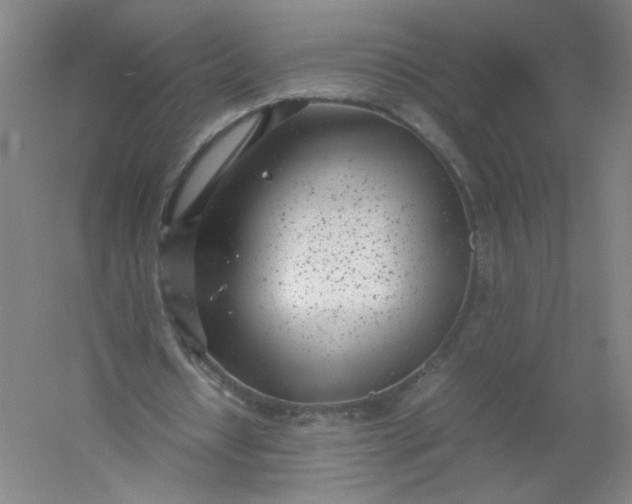 X0000054390434200508121637