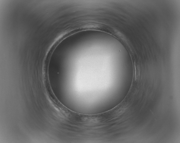 X0000054390435200508121637