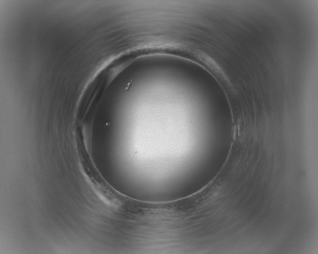 X0000054390436200508121637