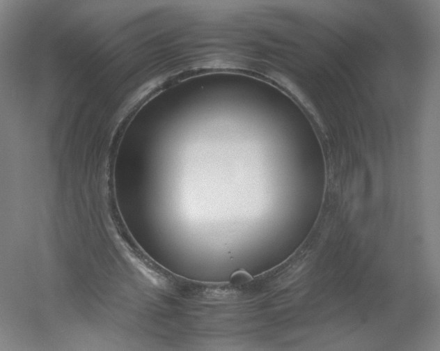 X0000054390437200508121637