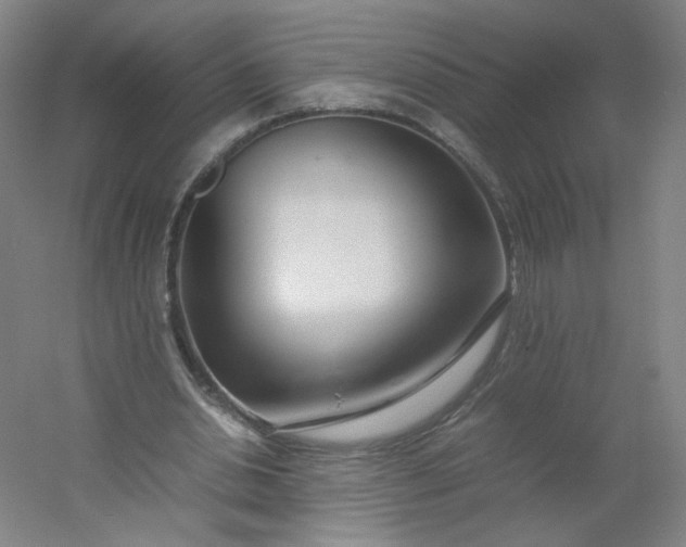 X0000054390438200508121637